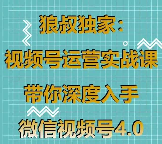 锦鲤已验视|视频号运营实战课，带你深度入手微信视频号4.0，零基础手把手实操操作 技术分享 第1张