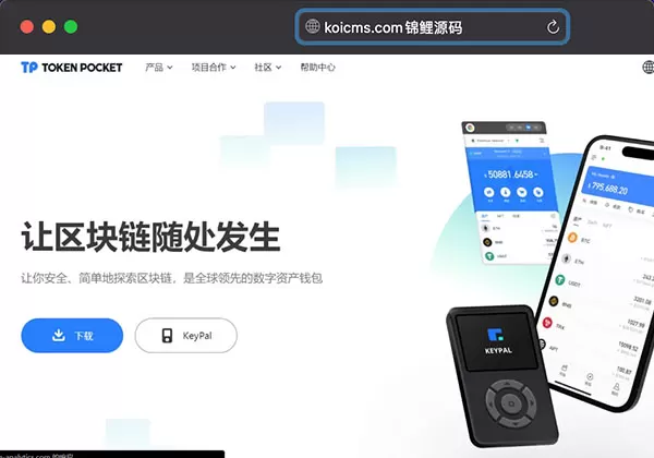 全新imtoken/tp/metamask小狐狸假钱包系统/获取助记词盗u系统 附教程