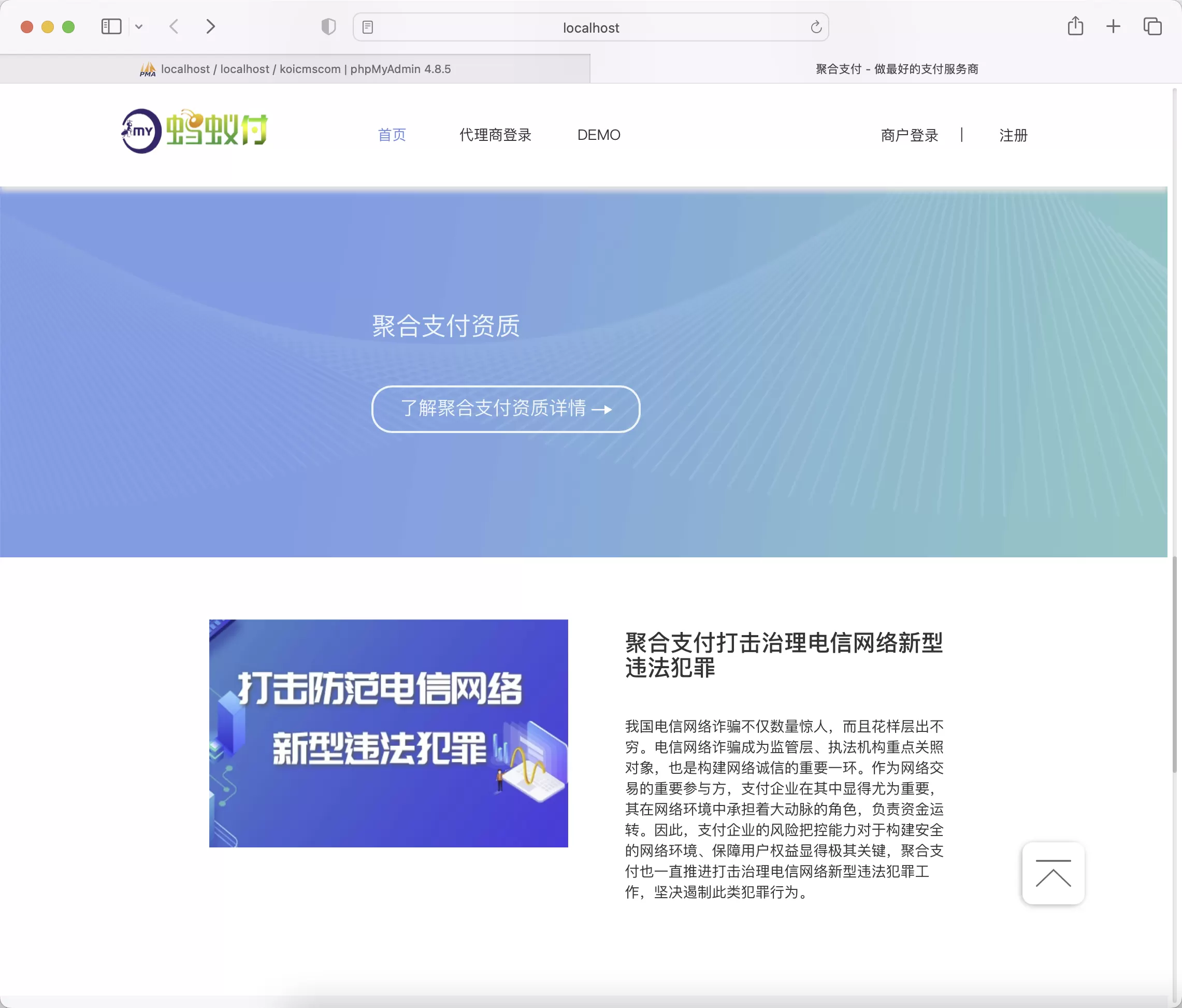 锦鲤已测|蚂蚁付_四方聚合支付系统新增USDT提现全新UI安全升级修复XSS漏洞补单漏洞_附安装教程 支付系统 第3张