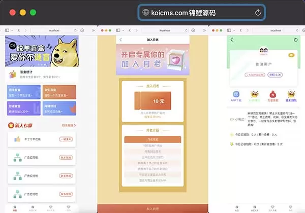 锦鲤已测|PHP交友盲盒/交友盲盒源码盲盒H5版本支持自定义支付