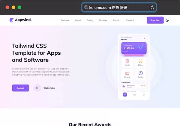 锦鲤已测|APP开发软件设计CSS网站模板