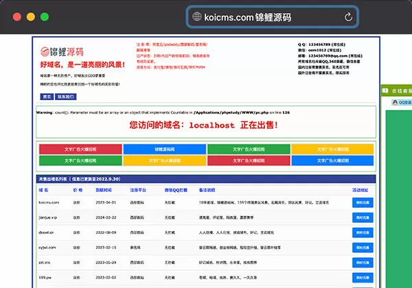 锦鲤已测|简单直接域名展示出售系统