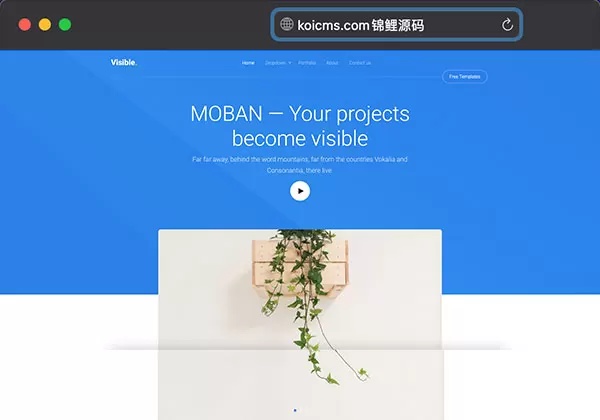 亲测_产品开发服务设计公司网站html模板