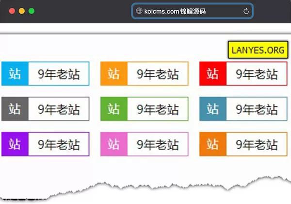 免费_蓝叶Emlog程序网站显示年龄插件