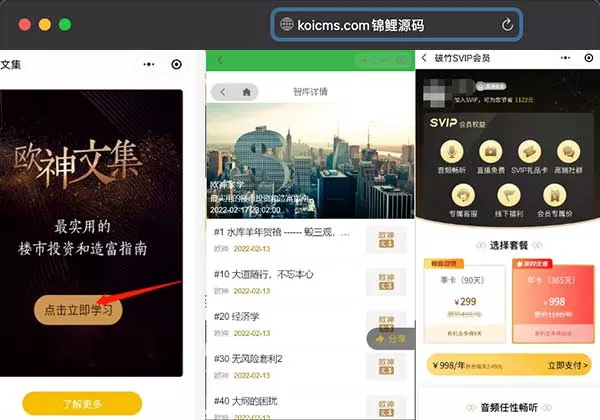 锦鲤已测|首发2022最新电子书小程序价值8k微信小说小程序带视频教程源码下载