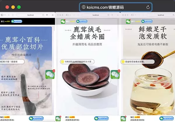 锦鲤已测|营销推广落地页网站源码 落地页单页pbootcms模板源码下载