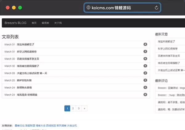 锦鲤已测|Tstrap 简约博客主题typecho主题源码下载