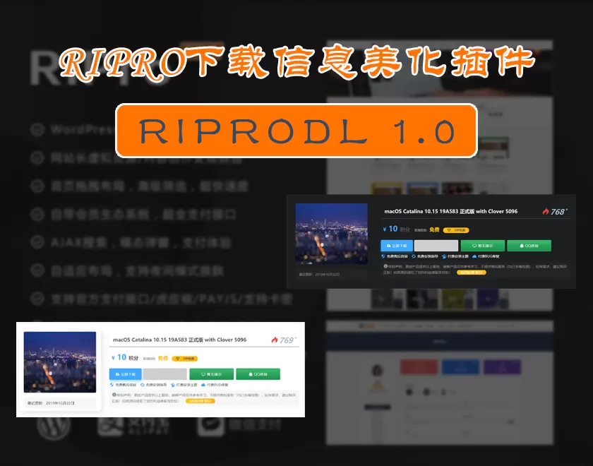 Ripro主题下载信息美化插件RiprodlWordPress日主题美化