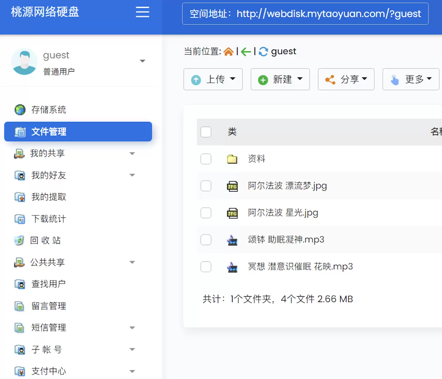 桃源网络硬盘 v7.4