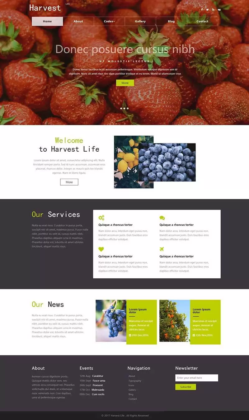 锦鲤已测|有机蔬菜水果农产品网站html网页模板 HTML 第1张