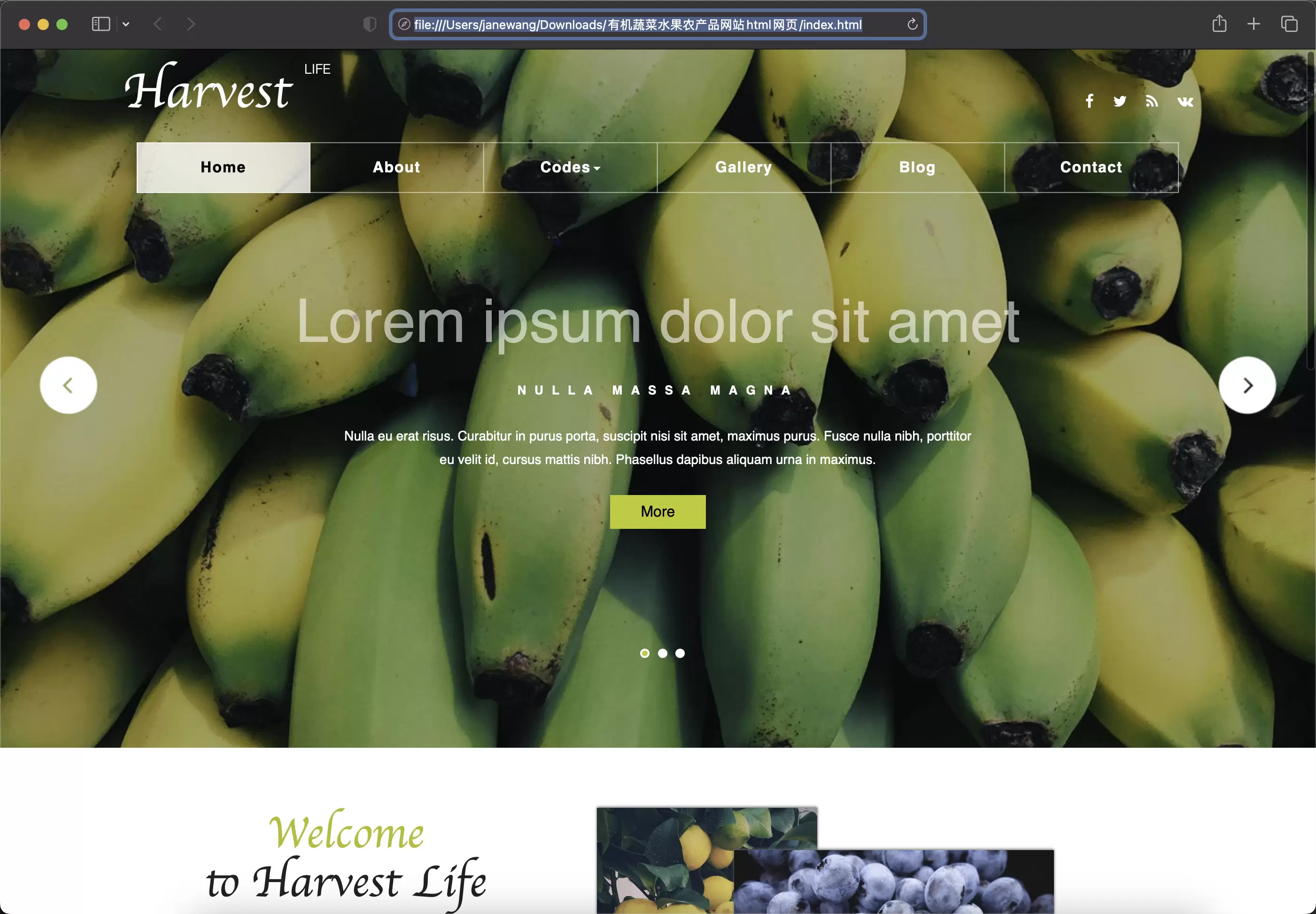 锦鲤已测|有机蔬菜水果农产品网站html网页模板 HTML 第2张