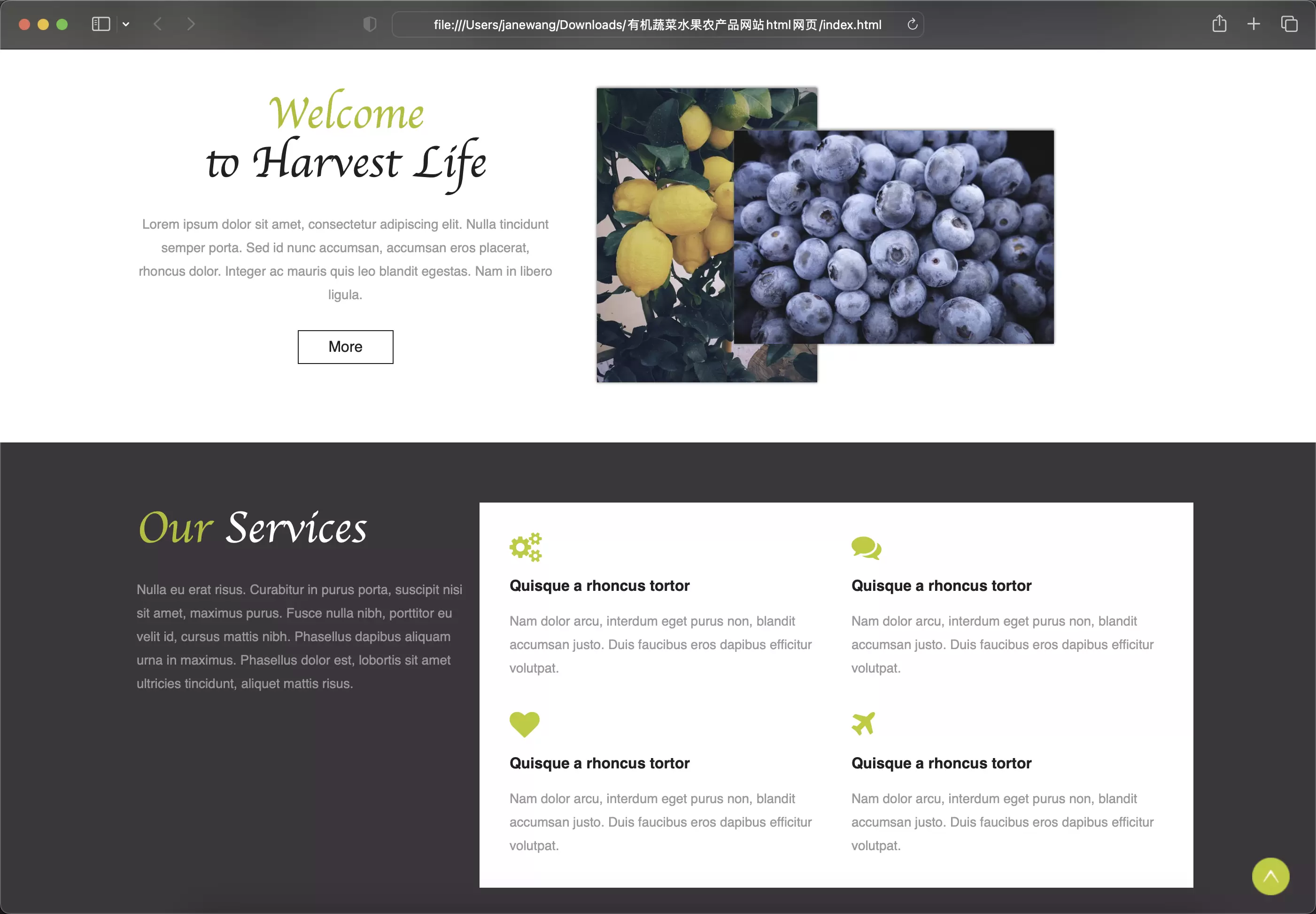 锦鲤已测|有机蔬菜水果农产品网站html网页模板 HTML 第3张