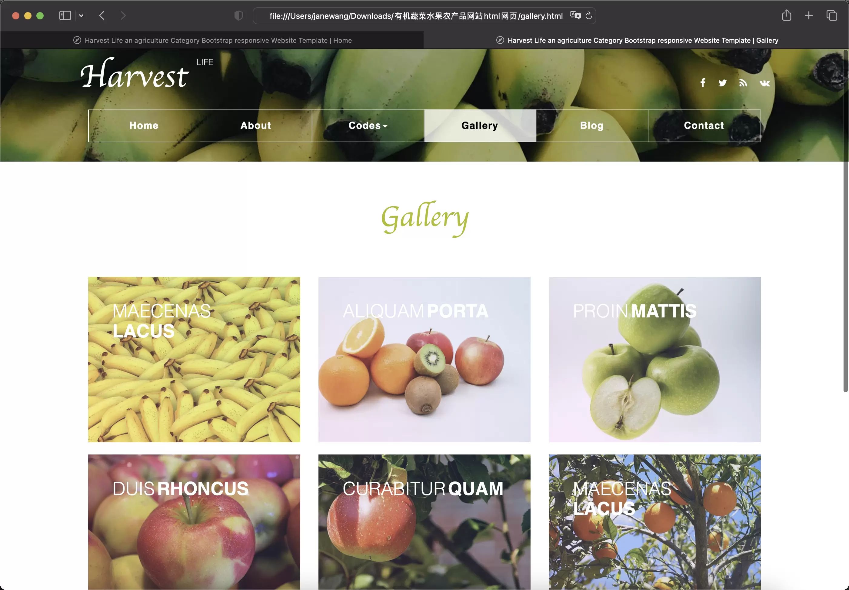 锦鲤已测|有机蔬菜水果农产品网站html网页模板 HTML 第5张