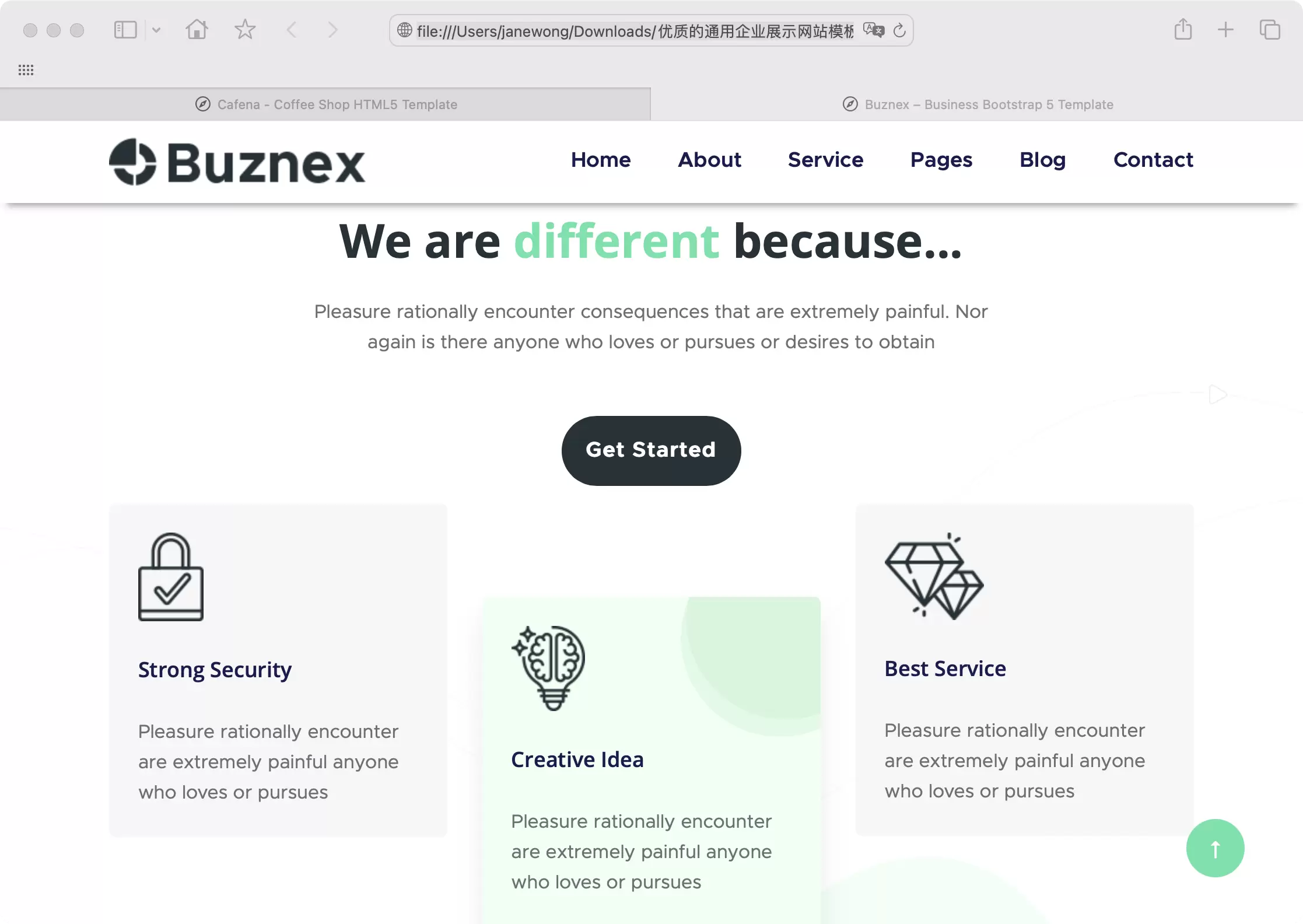 锦鲤已测|优质的通用企业展示网站模板-Buznex HTML 第2张