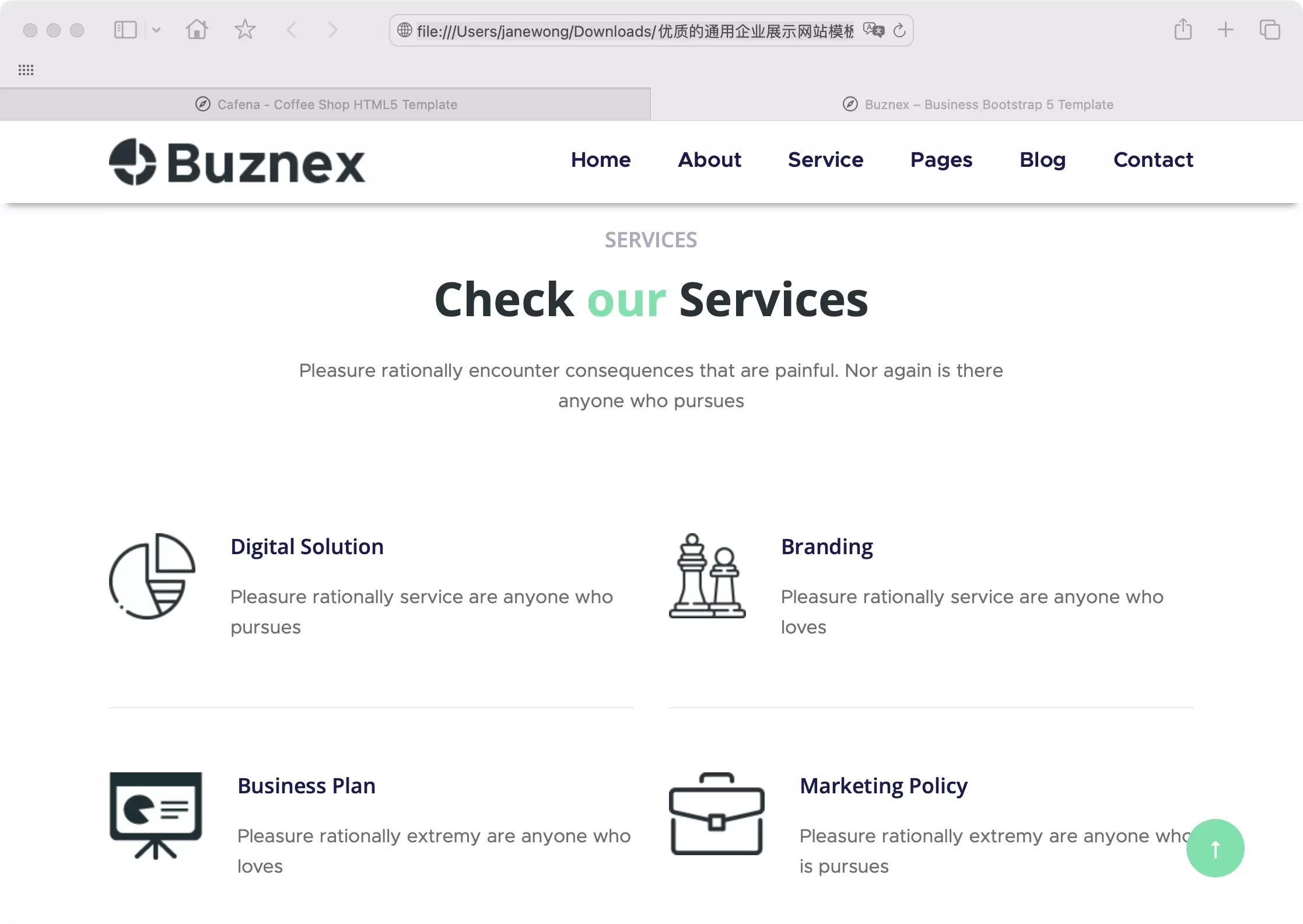 锦鲤已测|优质的通用企业展示网站模板-Buznex HTML 第4张