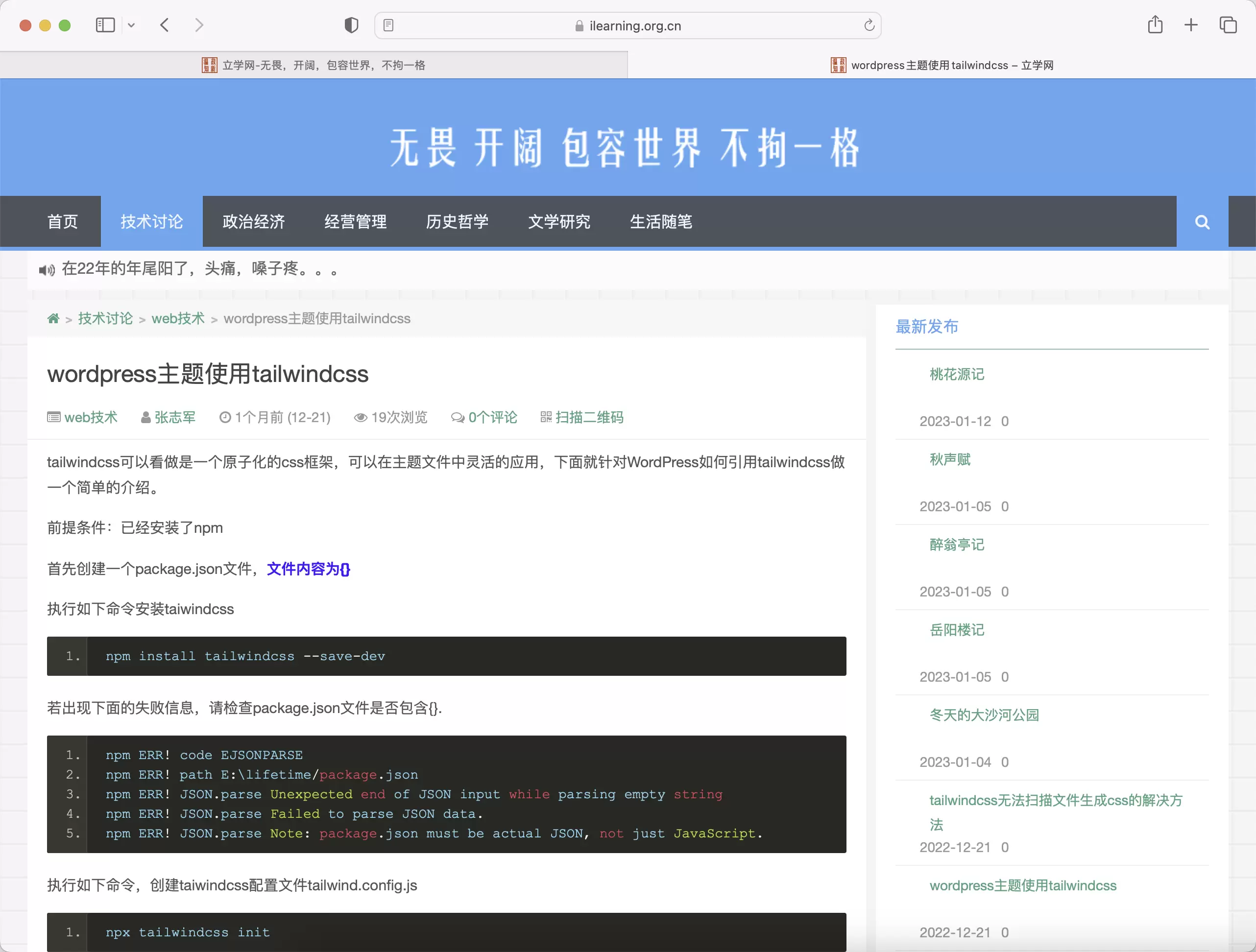 锦鲤已测|面向技术Wordpress主题beginner主题源码下载 wordpress 第3张