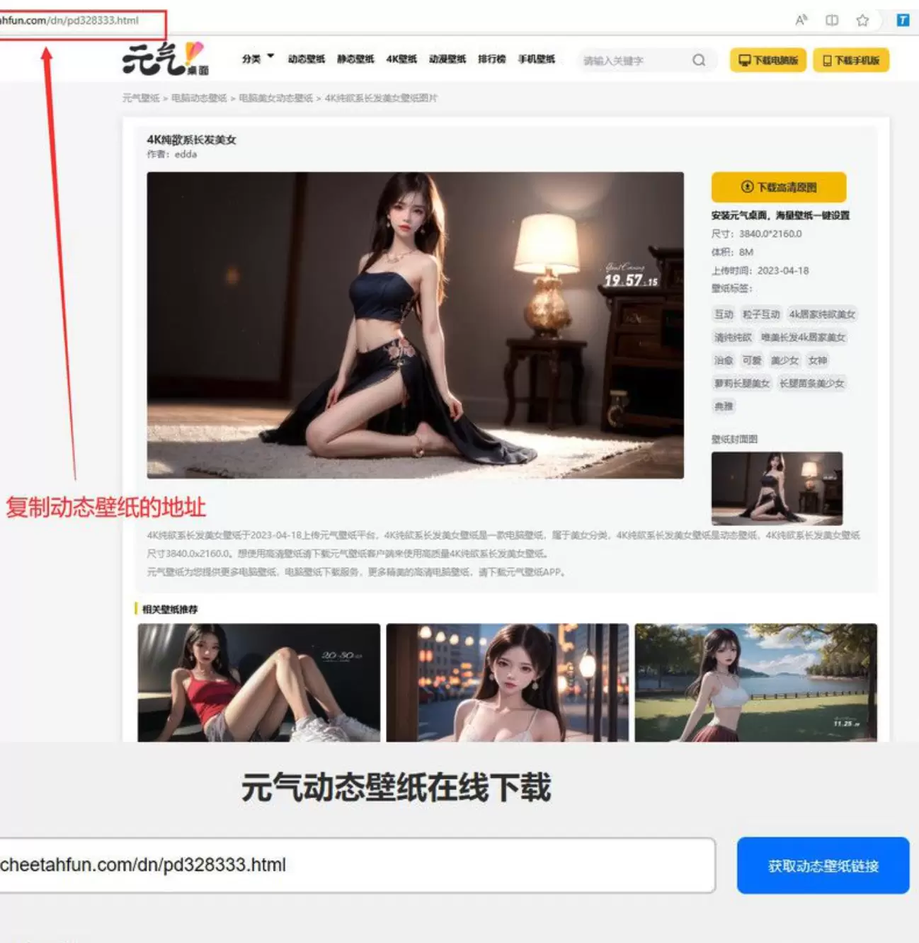 元气动态壁纸在线下载PHP源码 网站源码 第1张