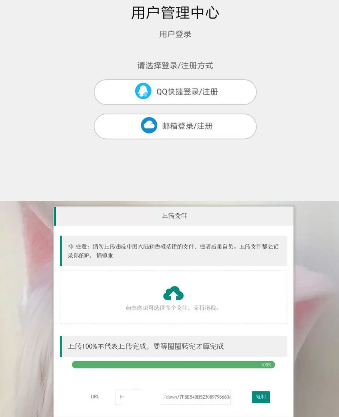 最新简单实用带后台的简洁网盘_小猫咪网盘1.5更新版 网站源码 第1张